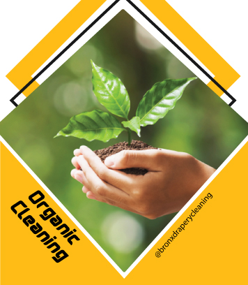 carpet cleaning in the Bronx, carpet cleaning in the Bronx, carpet cleaning the Bronx, carpet cleaners in the Bronx, carpet cleaners in the Bronx, commercial carpet cleaning, commercial carpet cleaning in the Bronx, the Bronx rug cleaners, rug cleaning services in the Bronx, same day carpet cleaning, same day rug cleaning