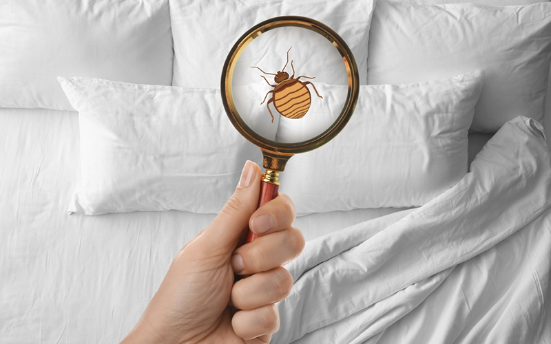 carpet cleaning in the Bronx, carpet cleaning in the Bronx, carpet cleaning the Bronx, carpet cleaners in the Bronx, carpet cleaners in the Bronx, commercial carpet cleaning, commercial carpet cleaning in the Bronx, the Bronx rug cleaners, rug cleaning services in the Bronx, same day carpet cleaning, same day rug cleaning